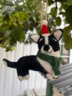 Julehund, julepynt, hund med nissehuve thumbnail