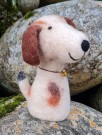Eggevarmar i filt, hund thumbnail